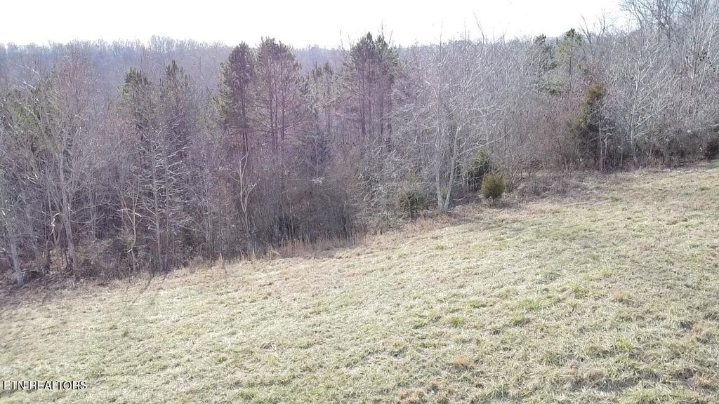 Photo of 516 Cedar Gate Lane, LaFollette, TN 37766 (MLS # 1326538)