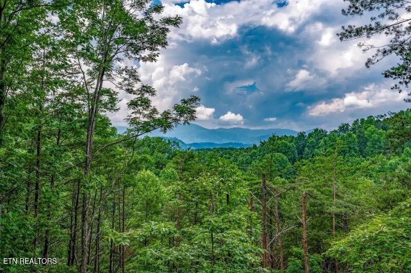 Photo of 712 Octagon Drive, Gatlinburg, TN 37738 (MLS # 1347381)