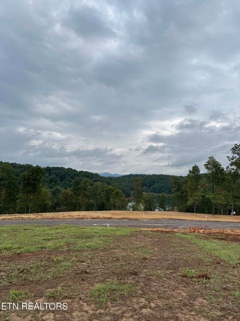 Tiny photo for Graystone Shoals, Morristown, TN 37814 (MLS # 1325299)
