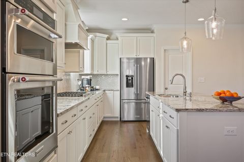 Tiny photo for 12823 Scarlet Sage Drive, Farragut, TN 37934 (MLS # 1335931)