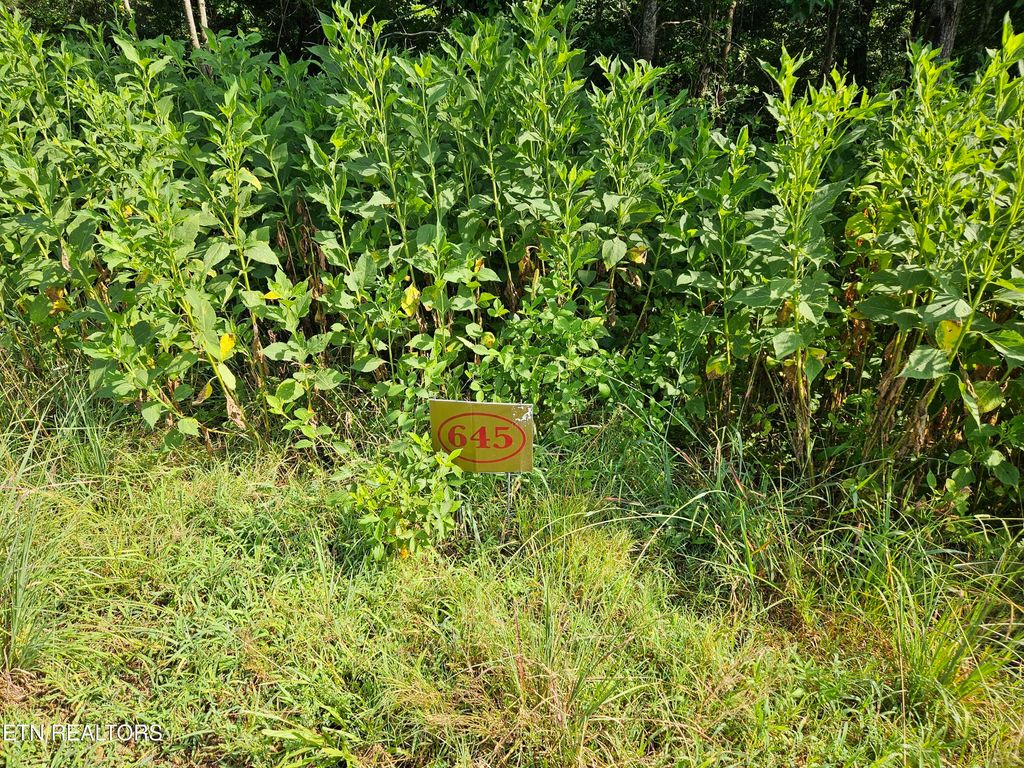 Photo of 208 Majestic View Drive, Rockwood, TN 37854 (MLS # 1311034)