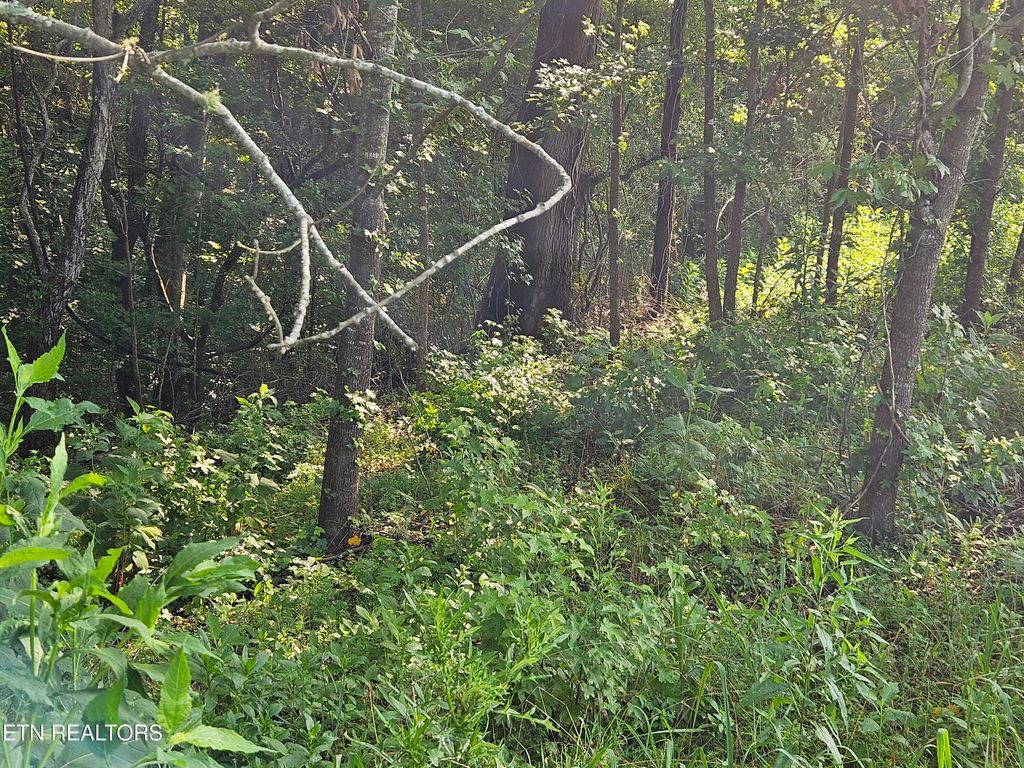 Photo of 208 Majestic View Drive, Rockwood, TN 37854 (MLS # 1311034)