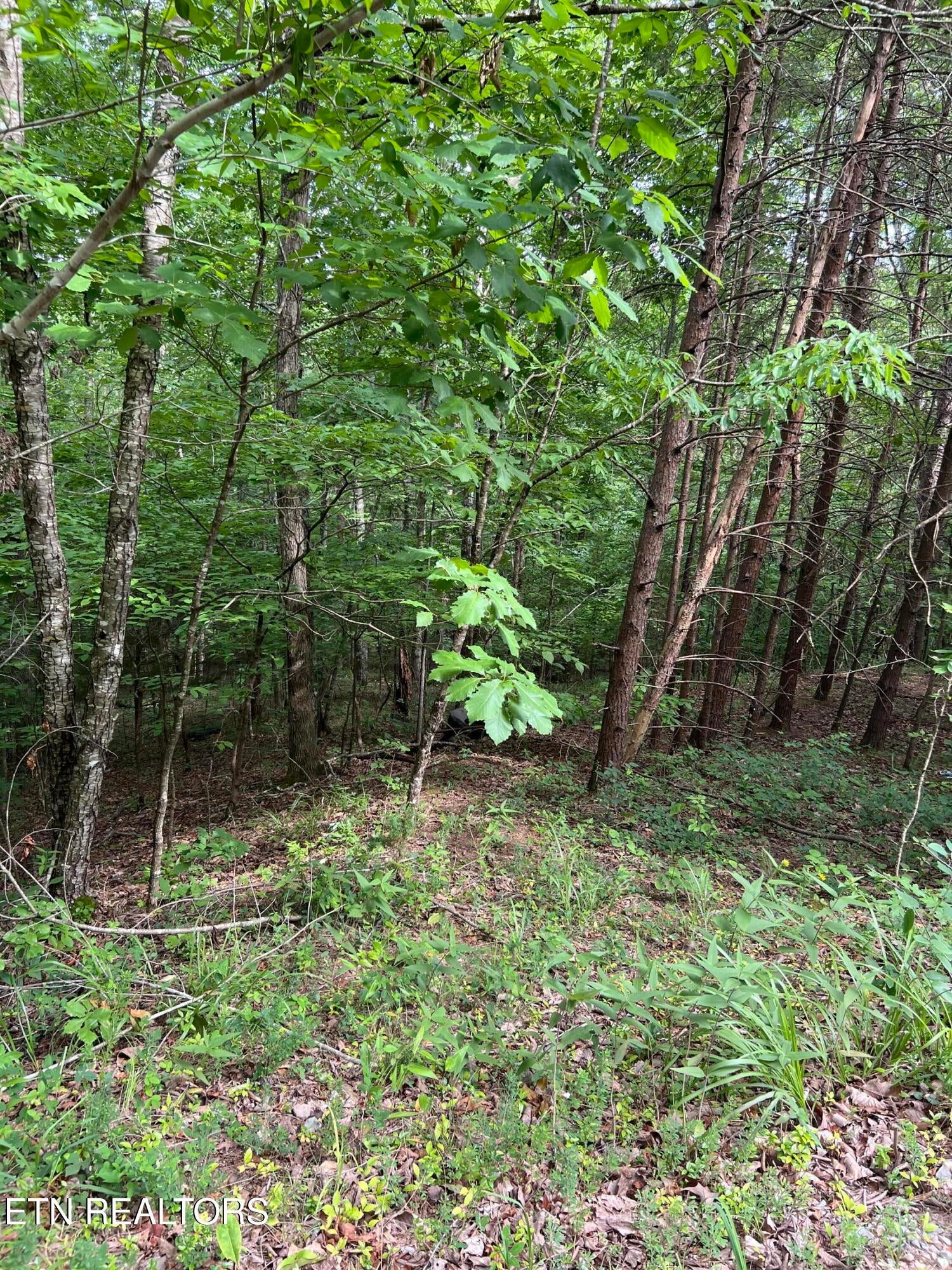 Three Point Rd