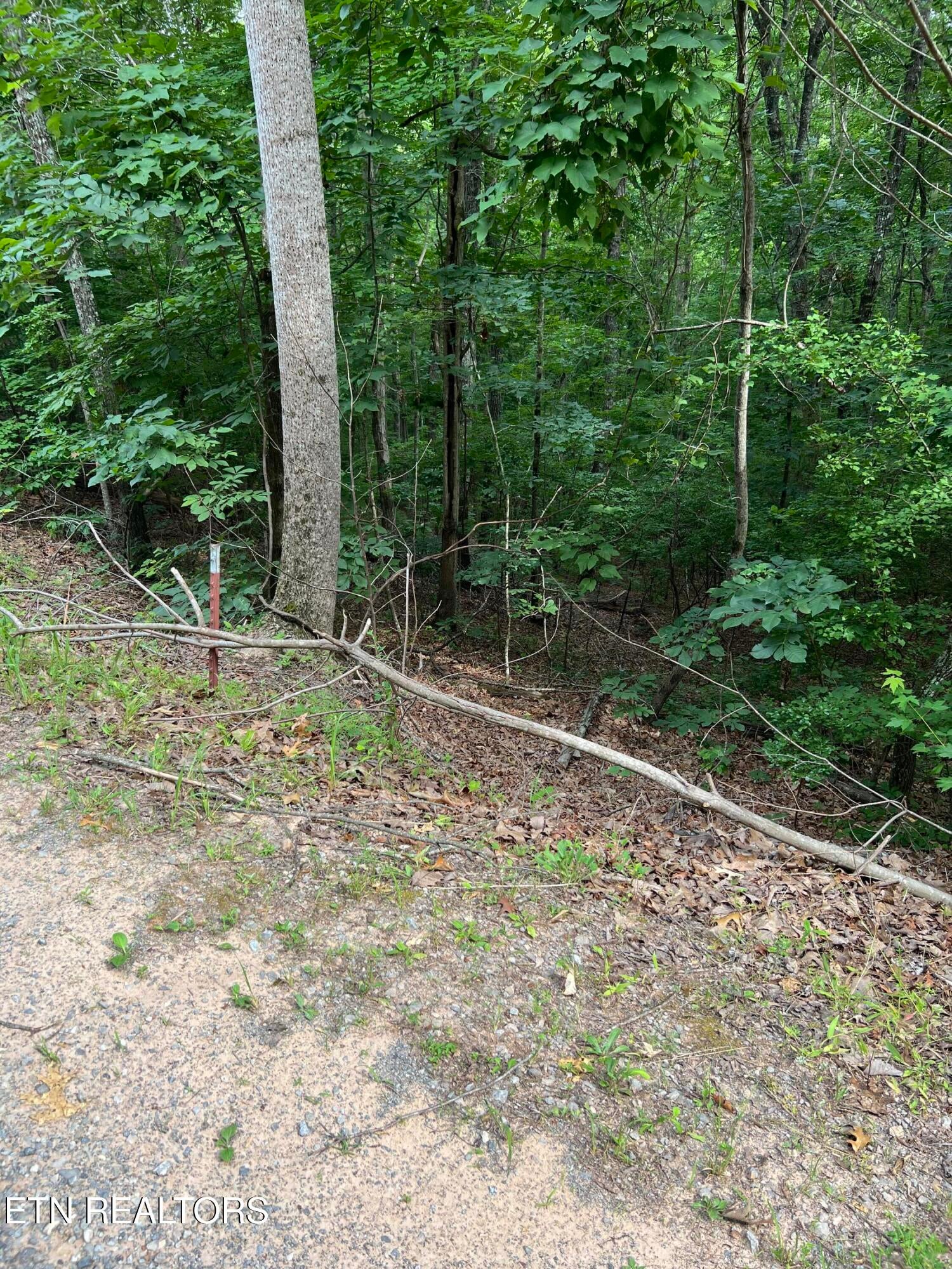 Three Point Rd