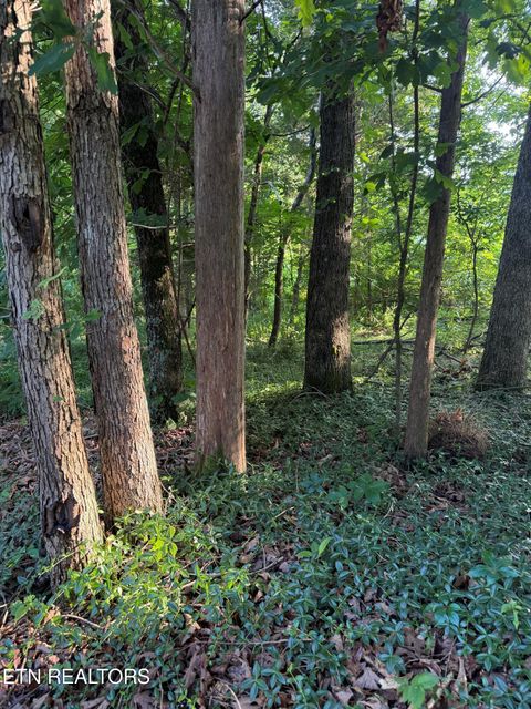 Lot 8 Catoosa Woods Drive Lancing TN 37770
