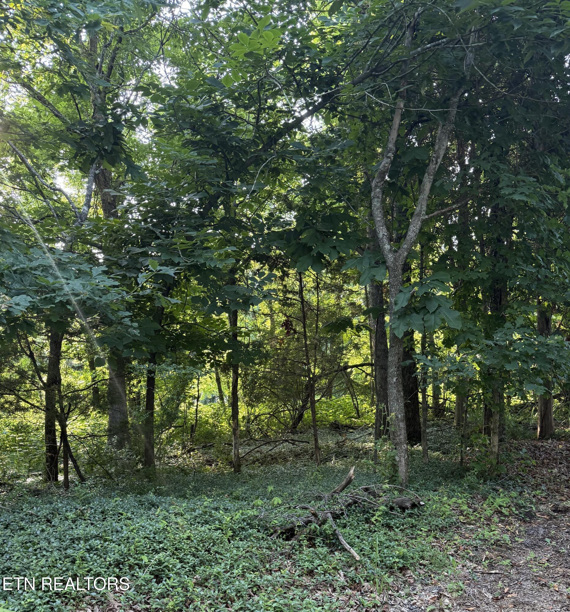Lot 8 Catoosa Woods Drive