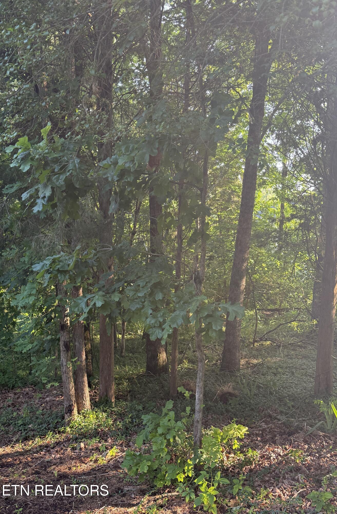 Lot 8 Catoosa Woods Drive