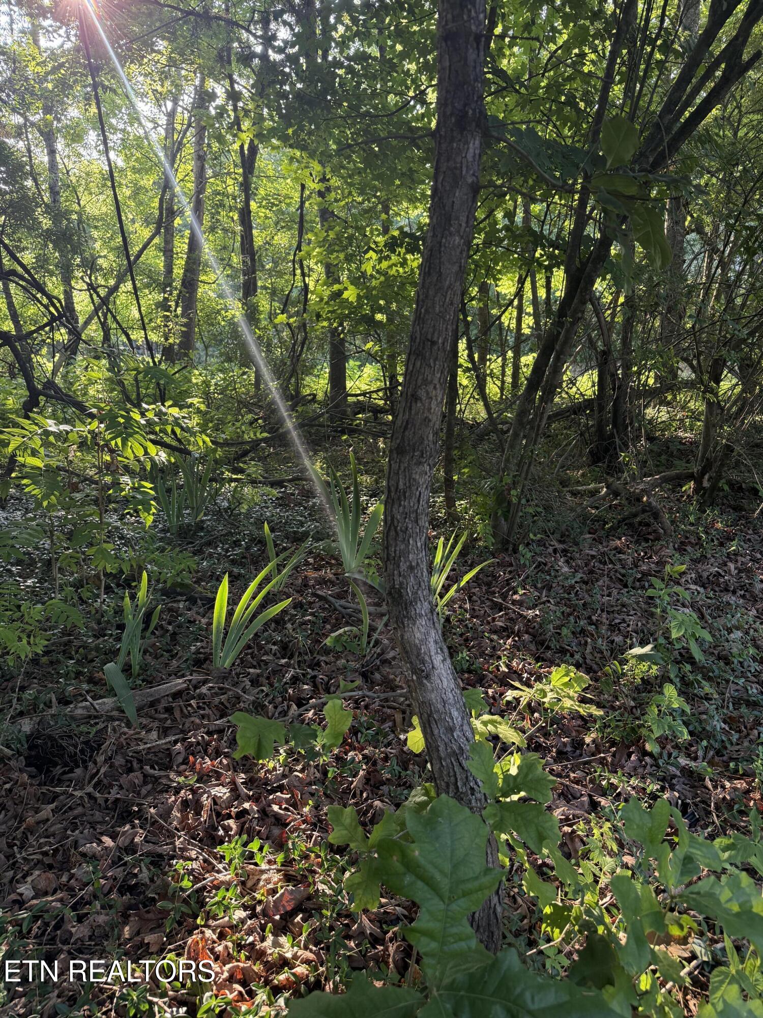 Lot 8 Catoosa Woods Drive