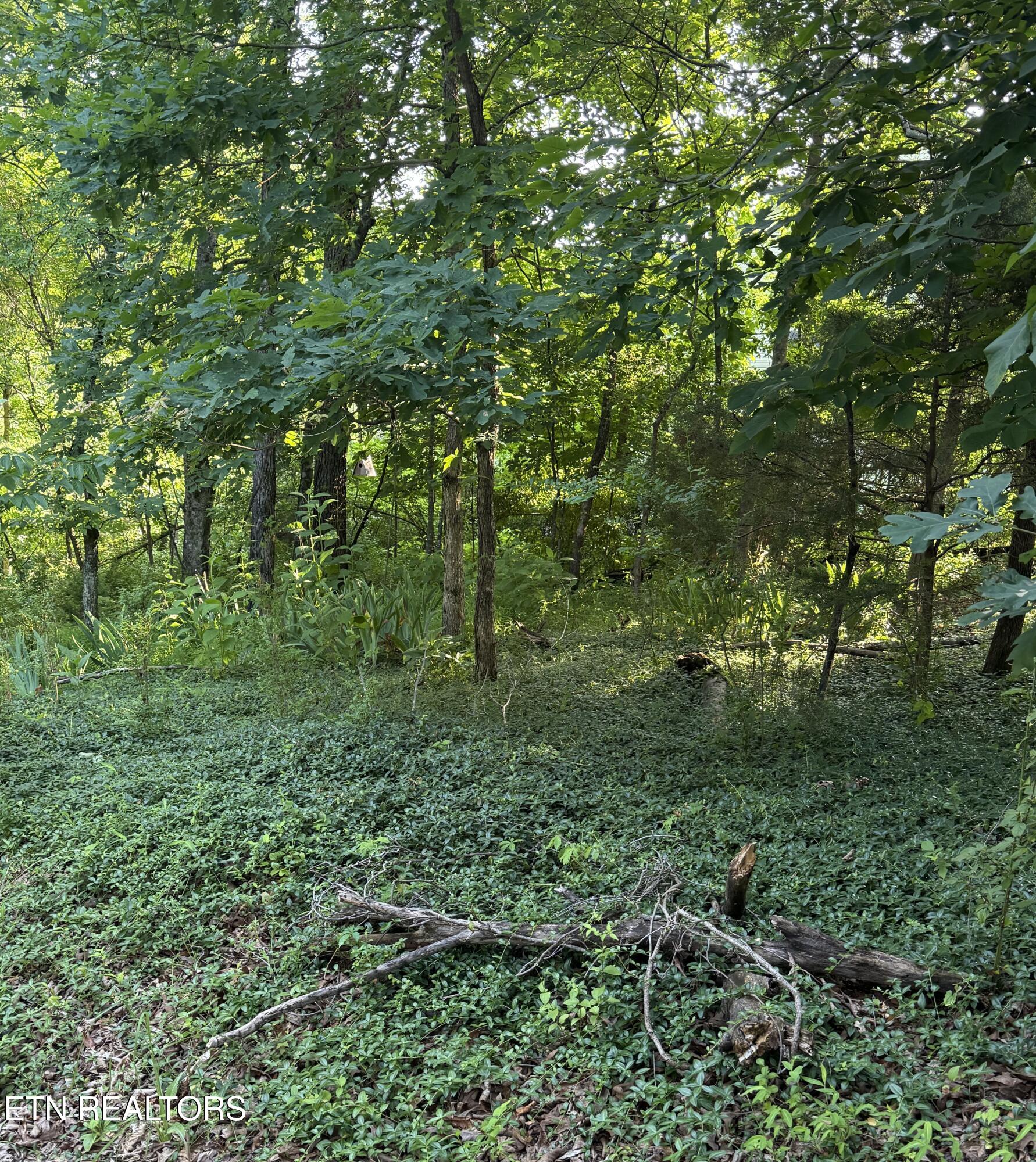 Lot 8 Catoosa Woods Drive
