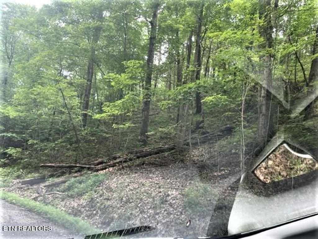 Photo of Wolfe Road Rd, Bean Station, TN 37708 (MLS # 1269941)