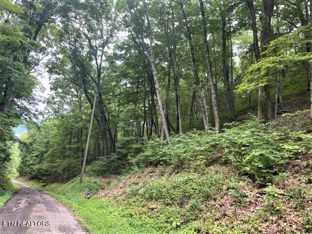 Photo of Wolfe Road Rd, Bean Station, TN 37708 (MLS # 1269941)