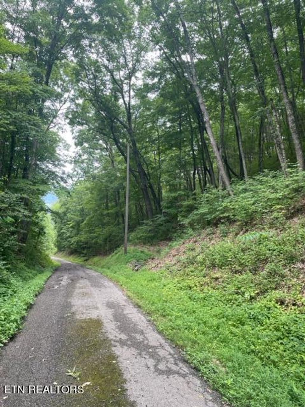 Photo of Wolfe Road Rd, Bean Station, TN 37708 (MLS # 1269941)