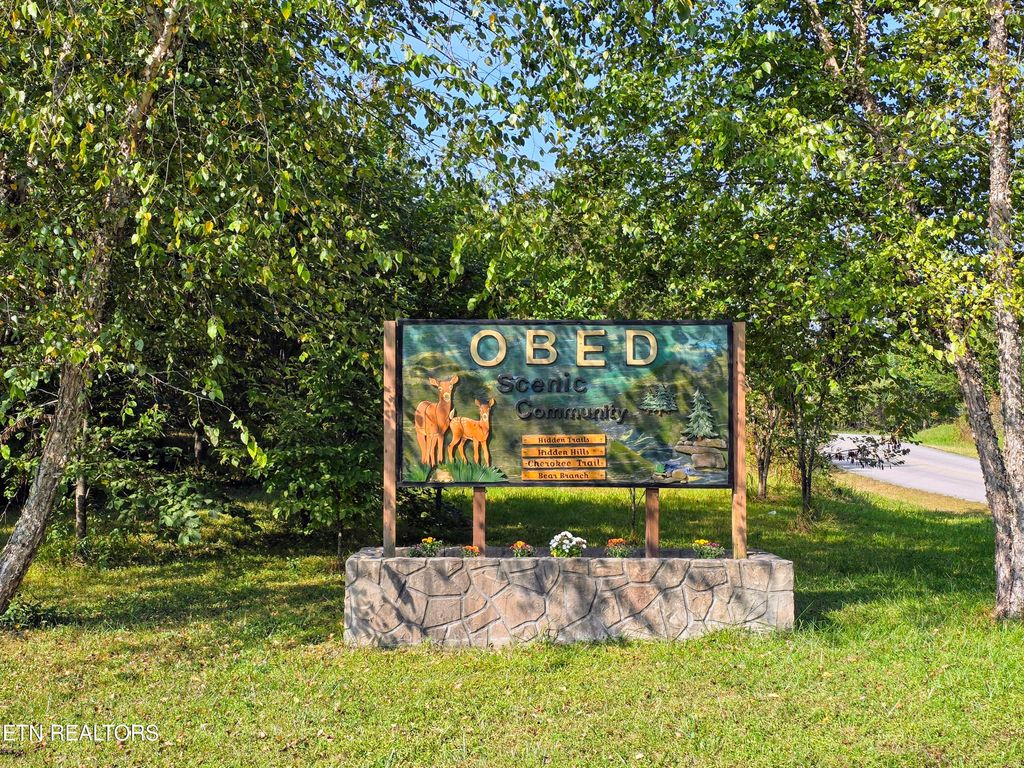 Photo of 20 Cherokee Trl Rd, Wartburg, TN 37887 (MLS # 1274950)