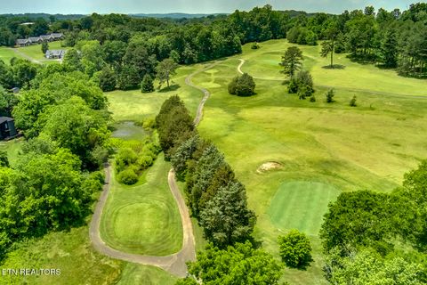 Tiny photo for 430 Willow Springs Drive, Athens, TN 37303 (MLS # 1326404)