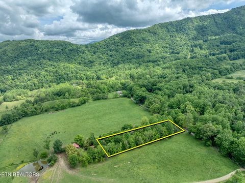Photo of 1153 Schoolhouse Gap Rd, Townsend, TN 37882 (MLS # 1321510)