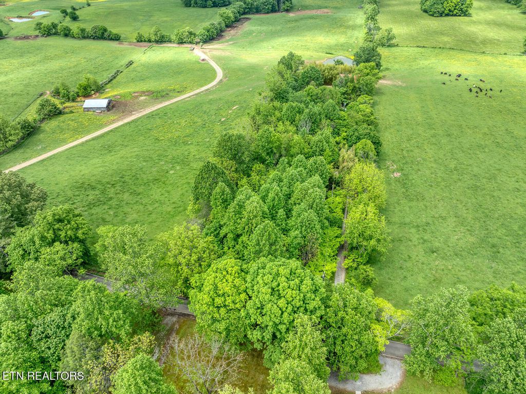 Photo of 1153 Schoolhouse Gap Rd, Townsend, TN 37882 (MLS # 1321510)