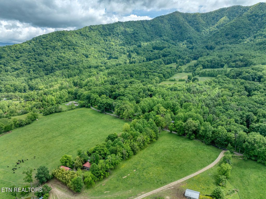 Photo of 1153 Schoolhouse Gap Rd, Townsend, TN 37882 (MLS # 1321510)