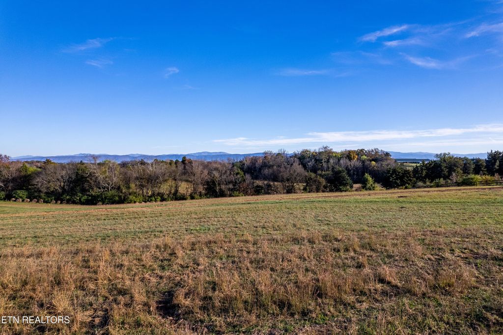 Photo of 357 Meadow Rd, Greenback, TN 37742 (MLS # 1284182)