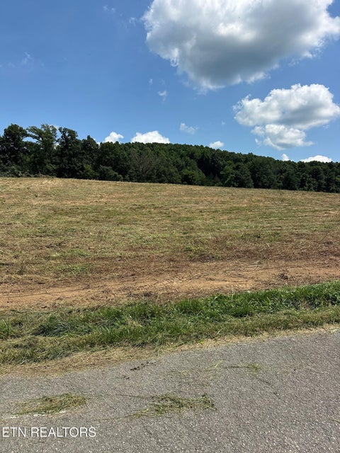 Tiny photo for 394 Anderson Rd, Byrdstown, TN 38549 (MLS # 1355481)
