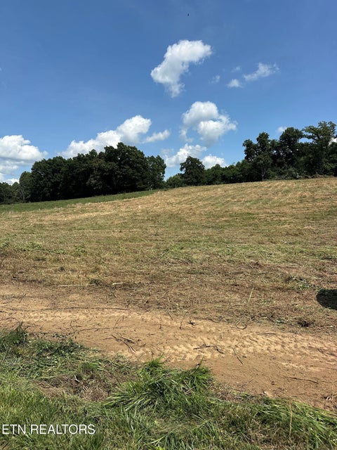 Photo of 394 Anderson Rd, Byrdstown, TN 38549 (MLS # 1355481)