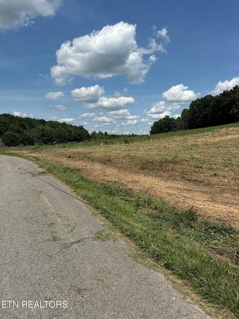 Tiny photo for 394 Anderson Rd, Byrdstown, TN 38549 (MLS # 1355481)