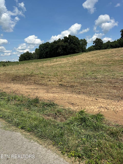 Tiny photo for 394 Anderson Rd, Byrdstown, TN 38549 (MLS # 1355481)