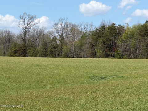 Tiny photo for 1342 Walt Reed Rd, Grandview, TN 37337 (MLS # 1335382)