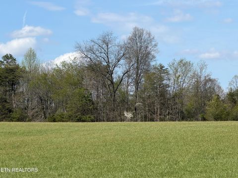 Tiny photo for 1342 Walt Reed Rd, Grandview, TN 37337 (MLS # 1335382)