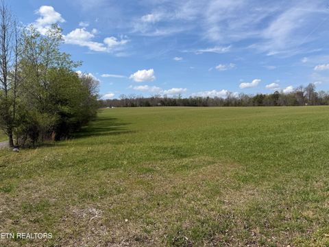 Tiny photo for 1342 Walt Reed Rd, Grandview, TN 37337 (MLS # 1335382)