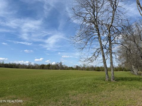 Tiny photo for 1342 Walt Reed Rd, Grandview, TN 37337 (MLS # 1335382)