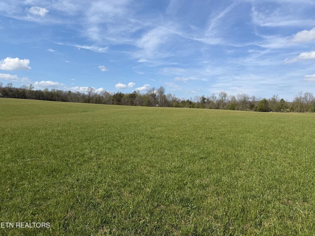 Photo of 1342 Walt Reed Rd, Grandview, TN 37337 (MLS # 1335382)