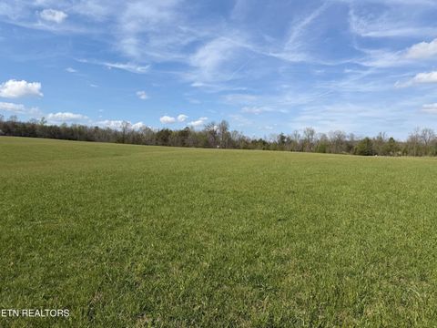 Tiny photo for 1342 Walt Reed Rd, Grandview, TN 37337 (MLS # 1335382)