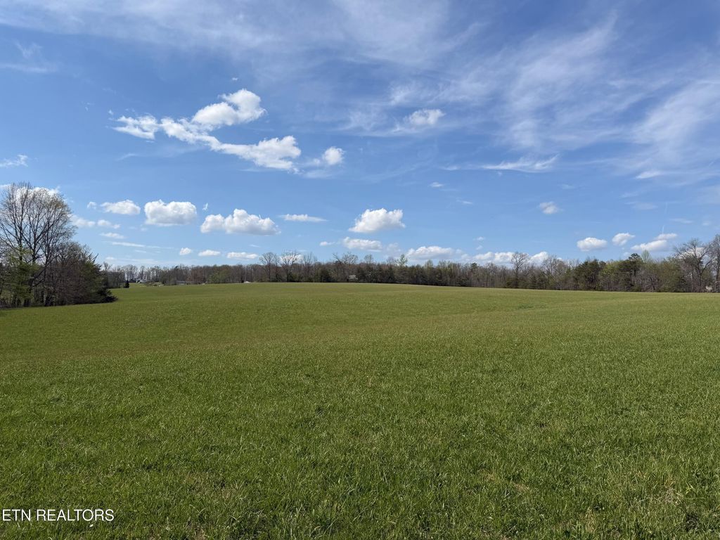 Photo of 1342 Walt Reed Rd, Grandview, TN 37337 (MLS # 1335382)