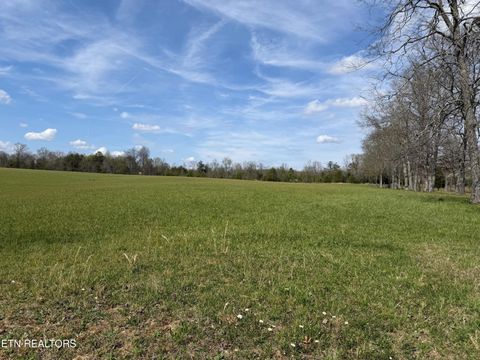 Tiny photo for 1342 Walt Reed Rd, Grandview, TN 37337 (MLS # 1335382)