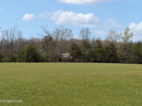 Tiny photo for 1342 Walt Reed Rd, Grandview, TN 37337 (MLS # 1335382)