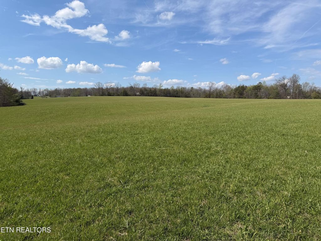 Photo of 1342 Walt Reed Rd, Grandview, TN 37337 (MLS # 1335382)