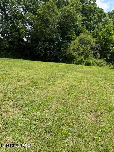 Photo of 115 Susack Lane, Wartburg, TN 37887 (MLS # 1353986)