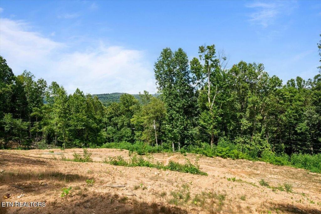 Photo of 353 Walden Ridge Lane, Caryville, TN 37714 (MLS # 1318130)