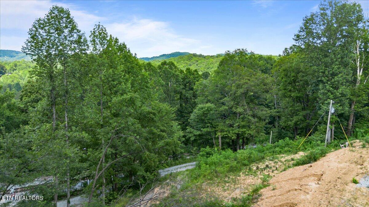 353 Walden Ridge Lane