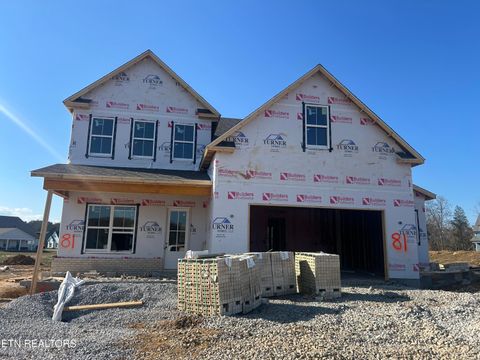 Photo of 125 Limelight Lane, Lenoir City, TN 37772 (MLS # 1322494)