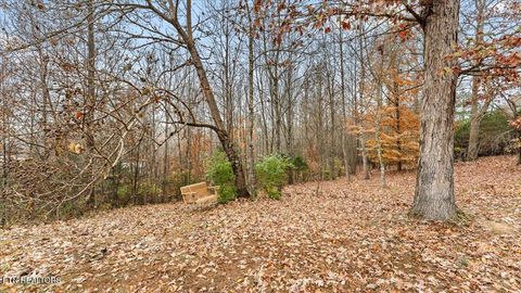 Tiny photo for 2294 N Highway 92, Jefferson City, TN 37760 (MLS # 1322588)