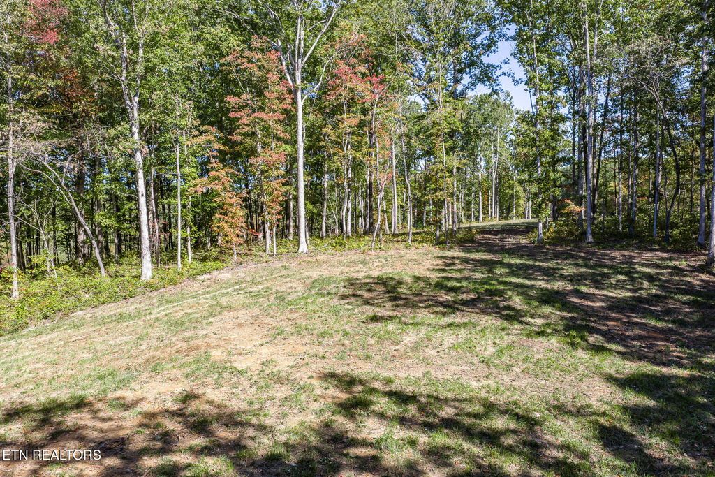 Photo of 634 Cumberland Cove Rd, Monterey, TN 38574 (MLS # 1319829)