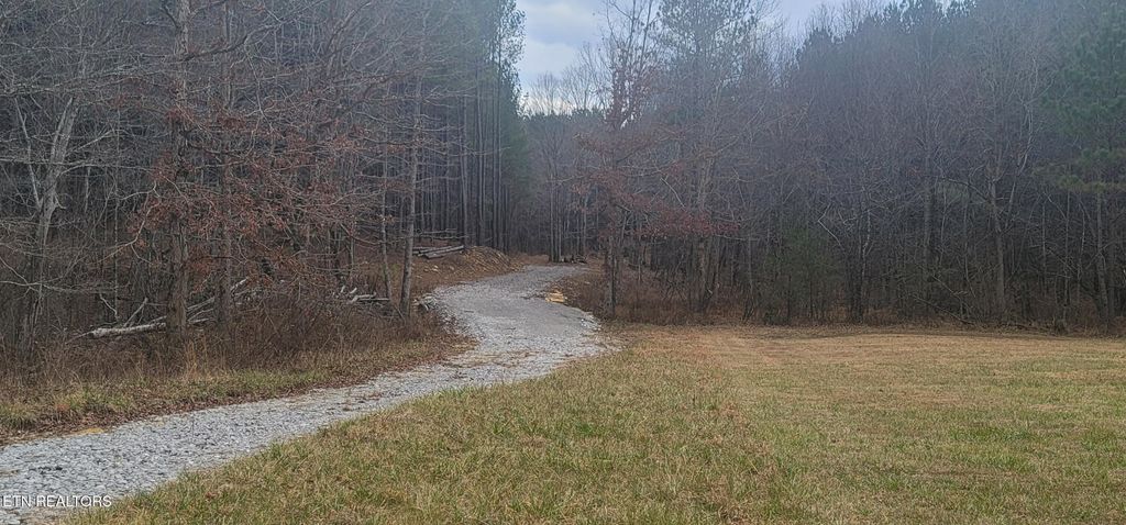 Photo of 1050 Mt Vernal Rd, Rockwood, TN 37854 (MLS # 1325050)