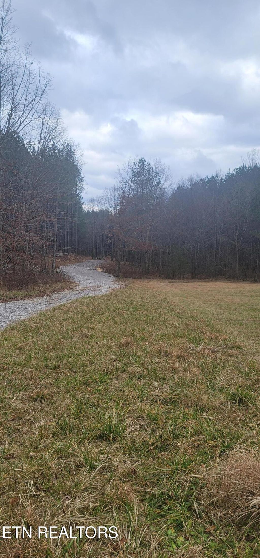 Photo of 1050 Mt Vernal Rd, Rockwood, TN 37854 (MLS # 1325050)