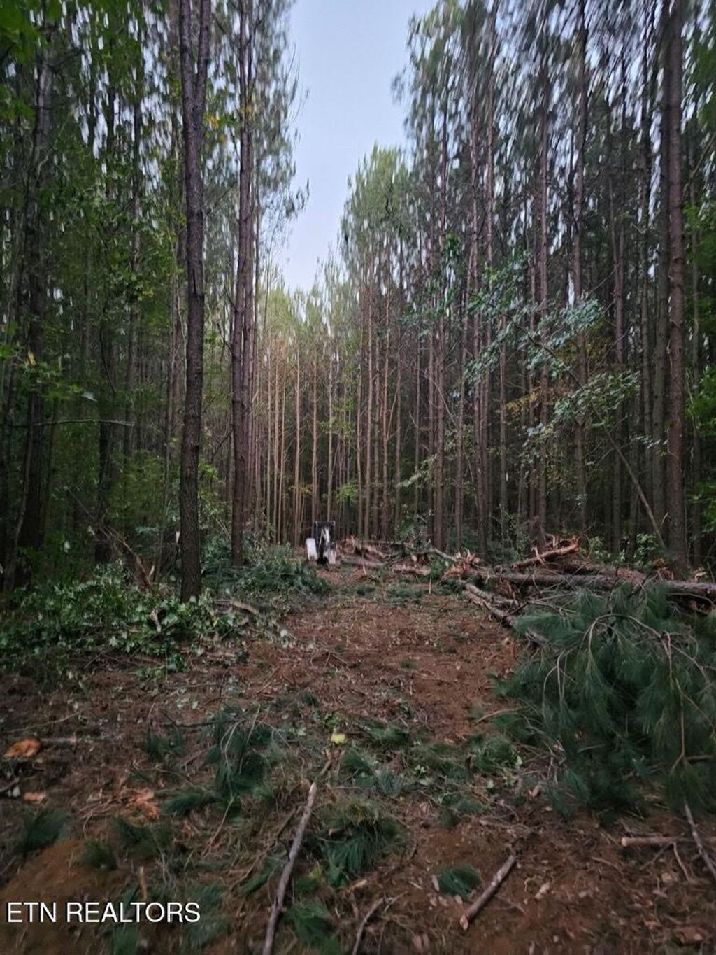 Photo of 1050 Mt Vernal Rd, Rockwood, TN 37854 (MLS # 1325050)