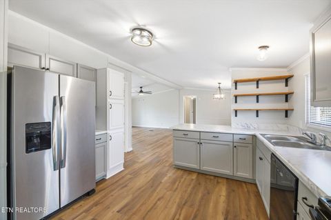 Tiny photo for 64 County Road 100, Decatur, TN 37322 (MLS # 1332338)