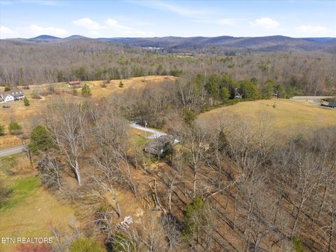 Tiny photo for 64 County Road 100, Decatur, TN 37322 (MLS # 1332338)