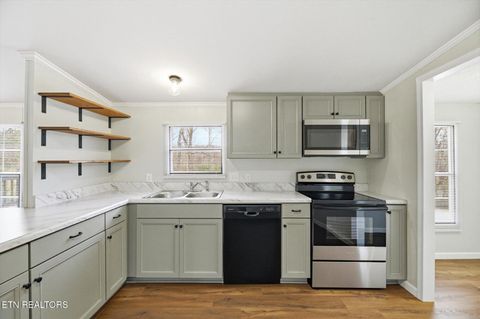 Tiny photo for 64 County Road 100, Decatur, TN 37322 (MLS # 1332338)