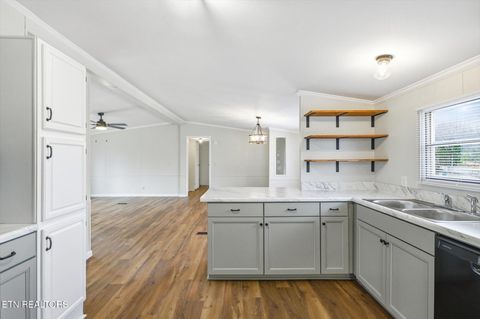 Tiny photo for 64 County Road 100, Decatur, TN 37322 (MLS # 1332338)