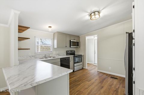 Tiny photo for 64 County Road 100, Decatur, TN 37322 (MLS # 1332338)